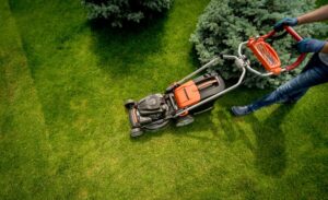 Person mowing a green lawn with an orange and black lawnmower, wearing gloves and jeans, with pine trees nearby.