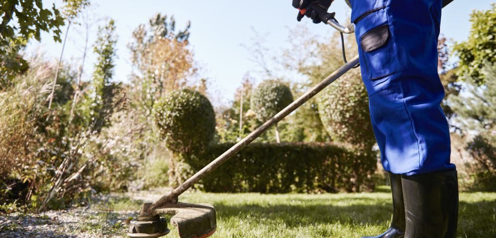 Person in blue coveralls and rubber boots uses a grass trimmer to edge a lawn in a garden with hedges and trees, showcasing the expertise of a Landscape Maintenance Contractor Singapore.