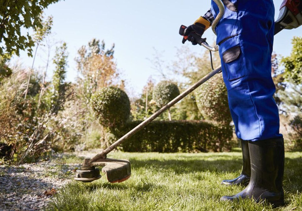 Person in blue coveralls and rubber boots uses a grass trimmer to edge a lawn in a garden with hedges and trees, showcasing the expertise of a Landscape Maintenance Contractor Singapore.