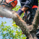 A person wearing safety gear uses a chainsaw to cut a large tree branch outdoors, with wood chips flying—essential steps before tree transplanting or tree moving can begin.